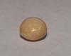 Brown Conch Pearl 2 carats 7mm for Sale