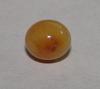 Brown Conch Pearl 2 carats Near Round