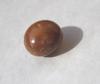 Brown Conch Pearl 5.70 carat Button Shape