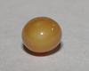 Brown Conch Pearl Oval 6mm for Sale