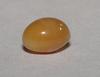 Brown Conch Pearl Oval 6mm for Sale