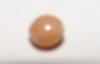 Brown Conch Pearl Round 4mm