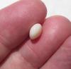 Cassis Pearl 2+ carats 8+ mm Flat Oval Shape