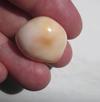 Cassis Pearl 42 carats 21mm Baroque Shape 