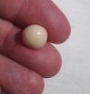 Cassis Pearl 5+ Carats 9+mm