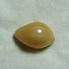 6.6 carat Cassis Pearl