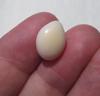 Cassis Pearl Flat Drop Shape 7+ carats