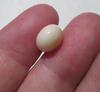Cassis Pearl Flat Drop Shape 7+ carats