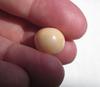Cassis Pearl Off Round 12mm 13+ carats
