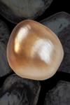 17 carat natural pteria penguin pearl
