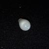 Clam Pearl 1.1 ct Baroque Drop with Flame 7mm