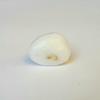 Clam Pearl 13.8 ct 15.25mm