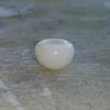 Clam Pearl 14+ ct Button Shape 13mm