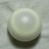  Clam pearl 14.8cts upside