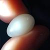Clam Pearl 15+ ct Drop Shape 17mm