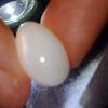 Clam Pearl 15+ ct Drop Shape 17mm
