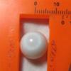 Clam pearl 15.0cts 