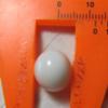Clam pearl 15.0cts