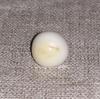 Clam Pearl 15.35 ct 11mm Baroque