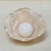 Clam Pearl 18.10 ct with Flame
