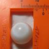 14 x 13mm Clam Pearl