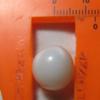 14 x 13mm Clam Pearl