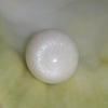 Clam Pearl 21.3 ct