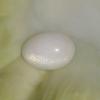 Clam Pearl 21.3 ct