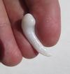Clam Pearl 26mm Pipe Shape 8+ carats