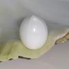 Clam Pearl 27.55 ct