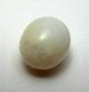 2.5 carat clam pearl