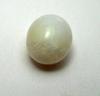 2.5 carat clam pearl