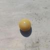 Clam Pearl 3.7 ct