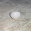 Clam Pearl 4+ ct Button Shape