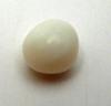 4.1 carat clam pearl