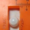 9 x 8 mm Clam Pearl