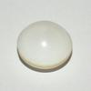 Clam Pearl 51ct Button Shape