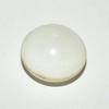 Clam Pearl 51ct Button Shape