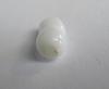 Clam Pearl 6+ carats 13mm Double Shape