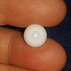 Clam Pearl 6.3 ct