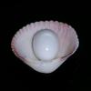 Clam Pearl 7.25 cts 12mm Oval with Flame