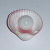 Clam Pearl 8.75 ct Semi Button with Flame for Sale