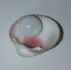 Clam Pearl 8.75 ct Semi Button with Flame for Sale