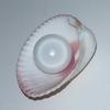 Clam Pearl 8+ ct with Flame and Button Shape for Sale