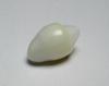 Clam Pearl 9 carats 15mm Symmetrical