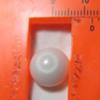 Clam pearl 9.9cts