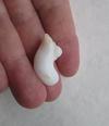 Clam Pearl Baroque Quirky Shaped Pearl 25+ carats 37mm 