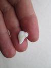 Clam Pearl Bird Shaped 4+ carats 12mm for Sale