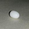Clam Pearl Bullet Shape 5.30 ct