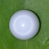 Clam Pearl Button 5.05 ct with Flame